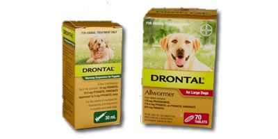 Drontal Allwormer for Dogs