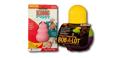 Interactive Pet Toys